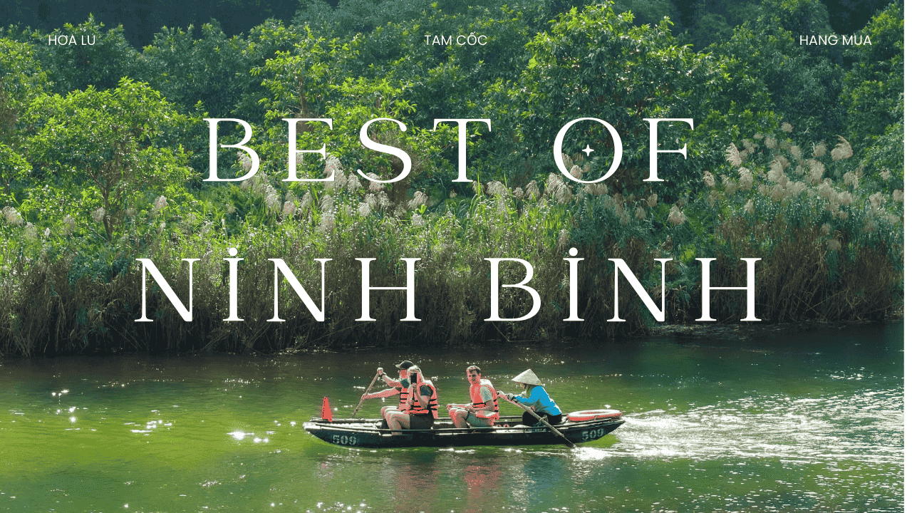 The Best of Ninh Binh: Hoa Lu, Tam Coc Boat Trip & Mua Cave Panoramic View
