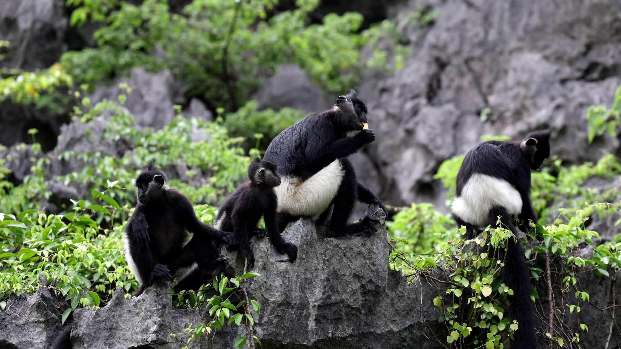 hoa-lu-tam-coc-one-day-tour-3 (1)