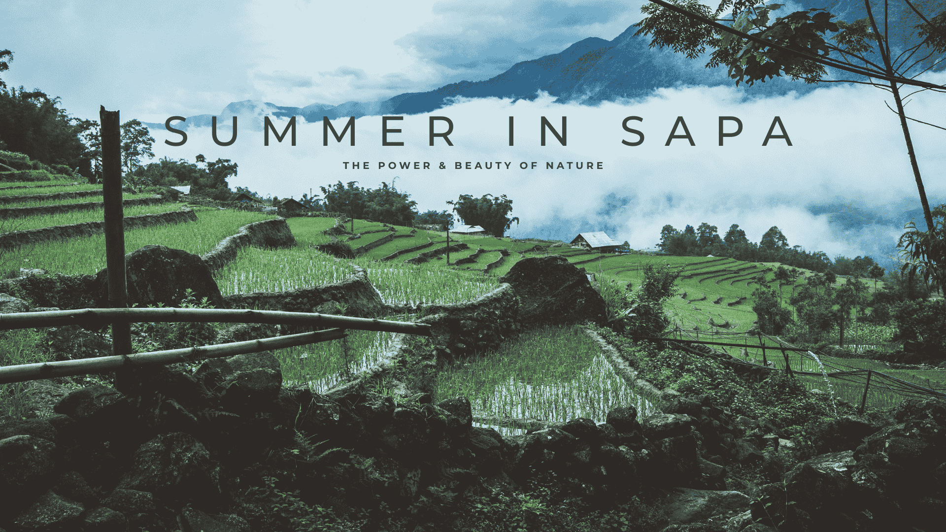 How Wetter Vietnam Sapa in Spring Creates a Fairytale Fog