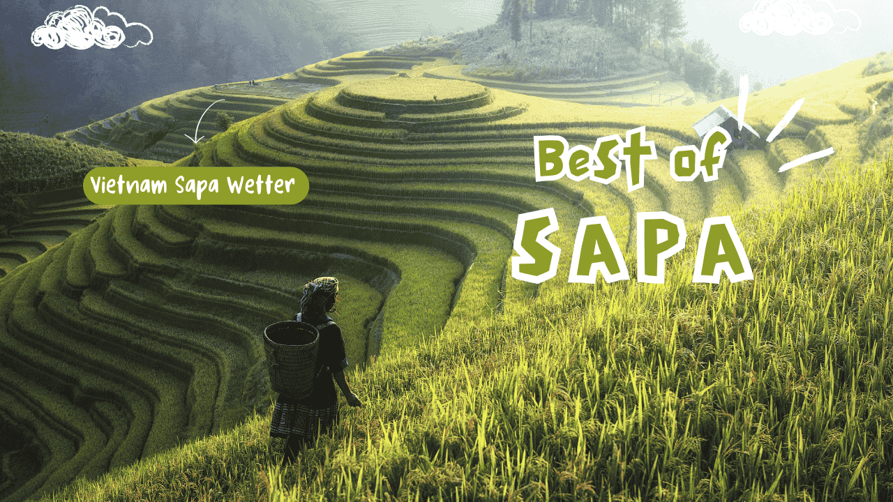 Vietnam Sapa Wetter 2026: A Monthly Guide & Insider Tips