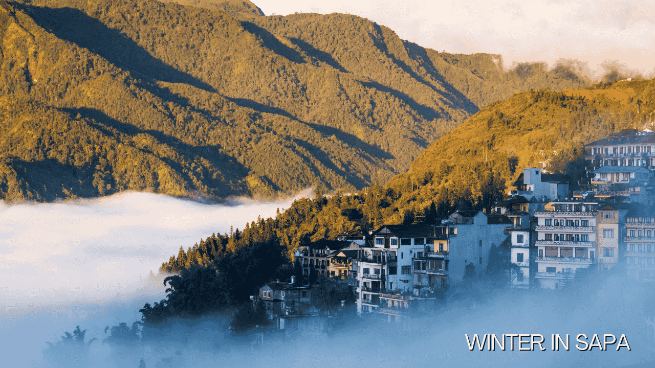 Winter Wetter Vietnam Sapa: Freezing Peaks & Chance of Snow